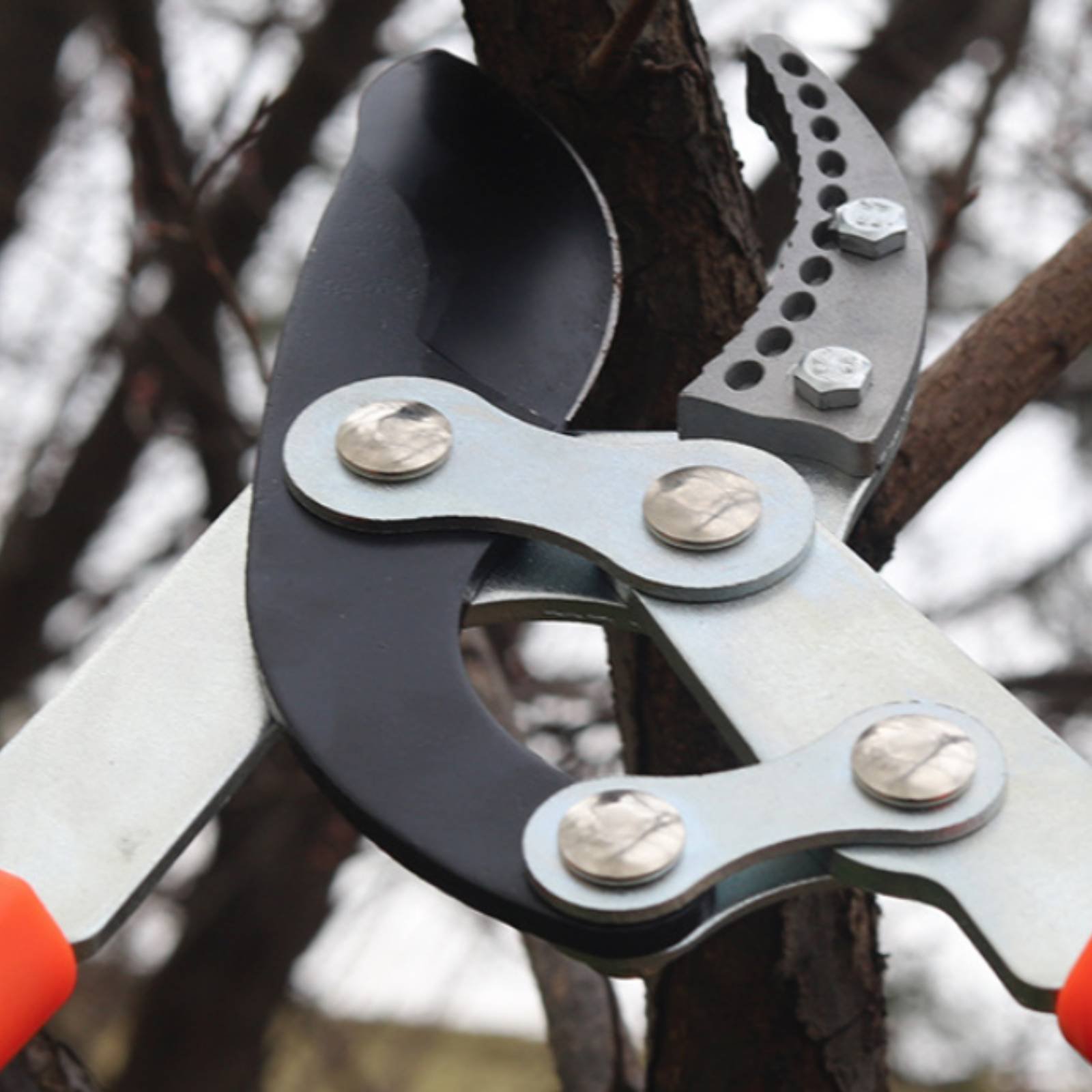 Teleskopowe nożyce do gałęzi z – Garden Tools recenzja i cena
