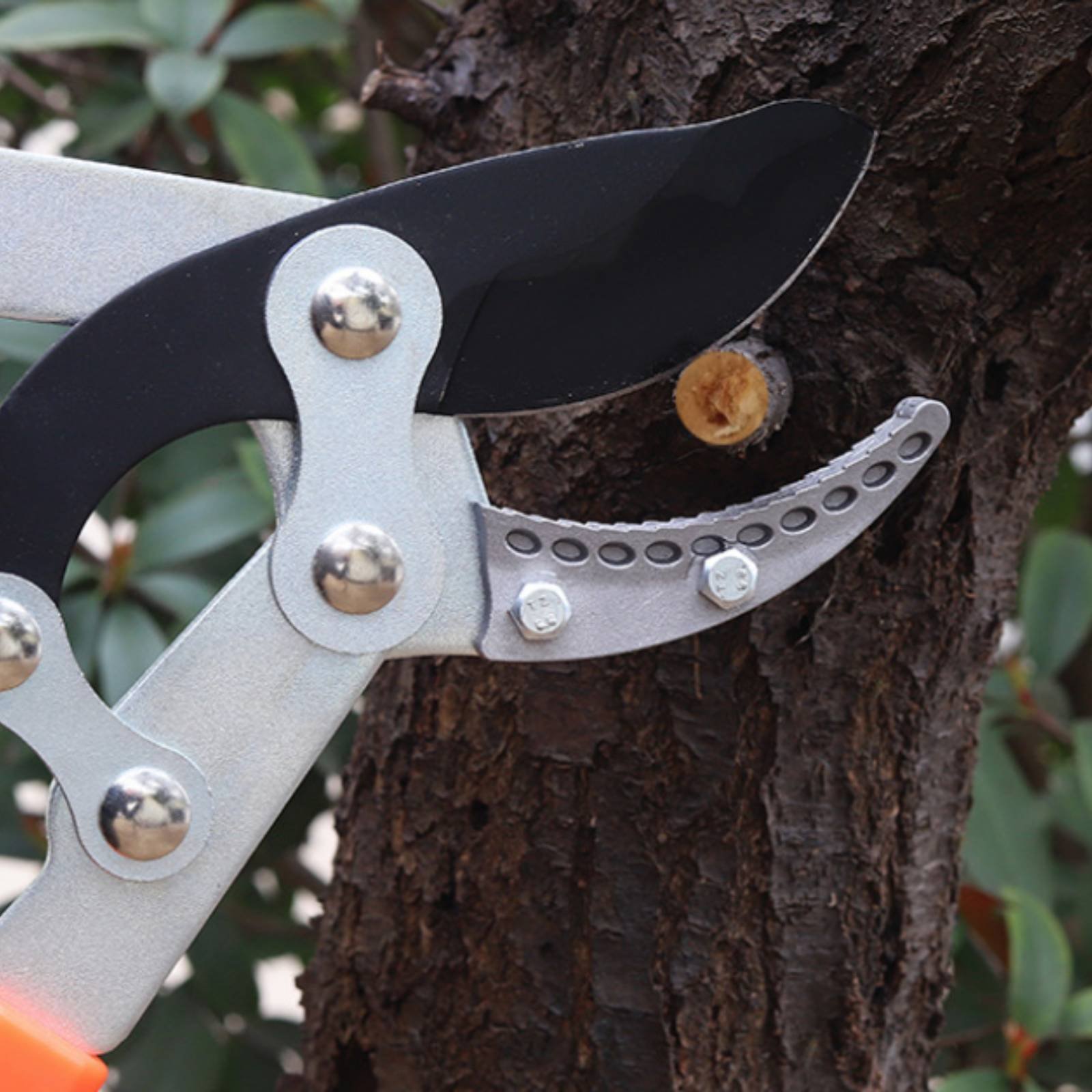 Teleskopowe nożyce do gałęzi z – Garden Tools recenzja i cena